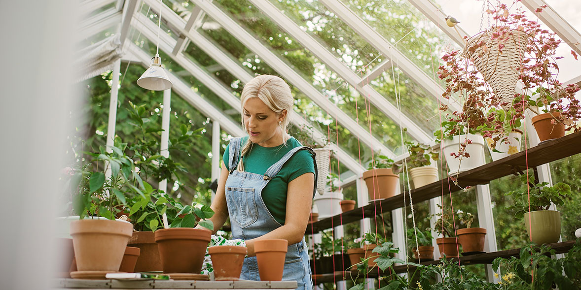 Discover a World of Greenery: Top Greenhouses Available for Sale