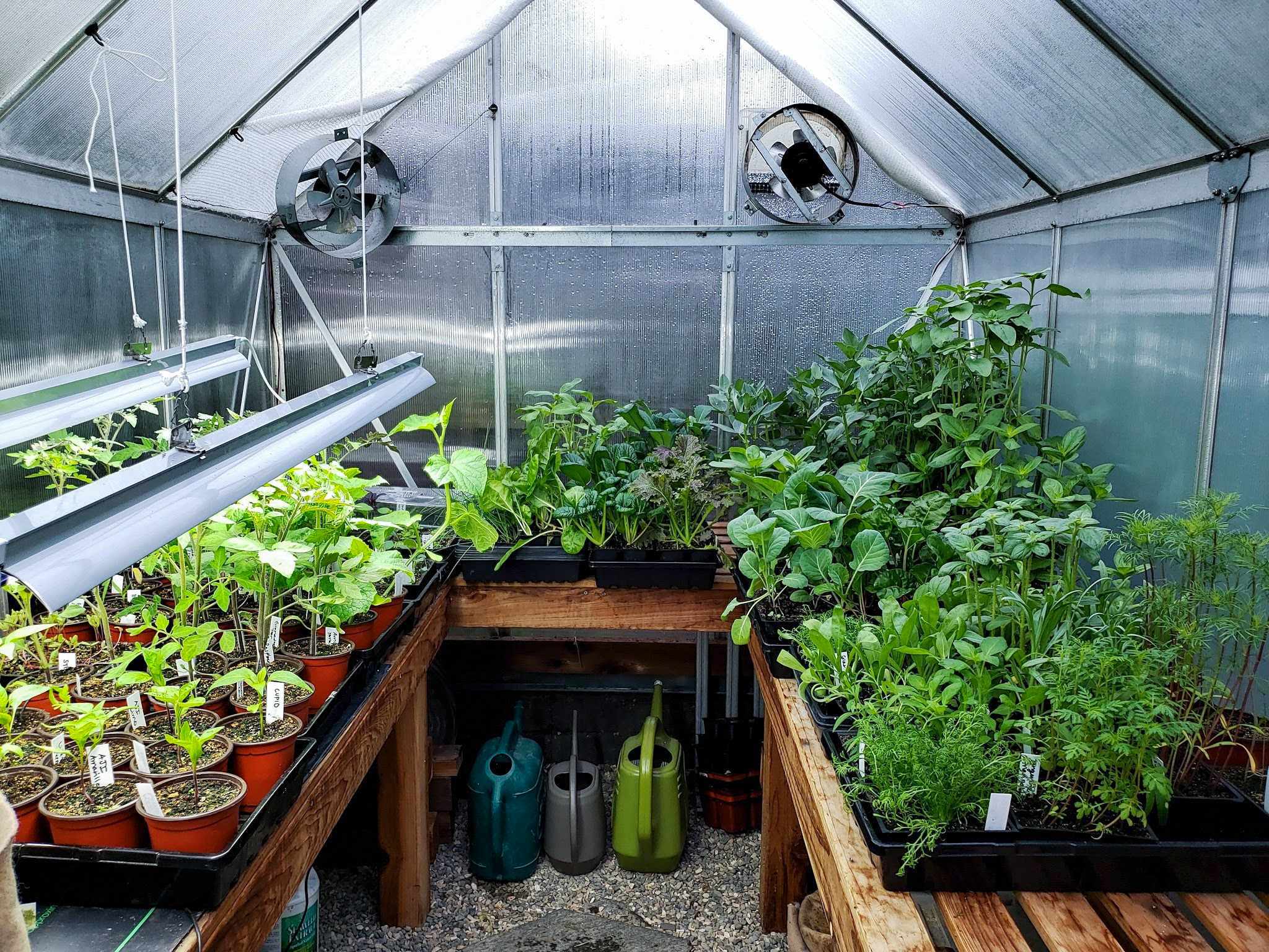 When Is The Best Time To Set Up Your Greenhouse Window?