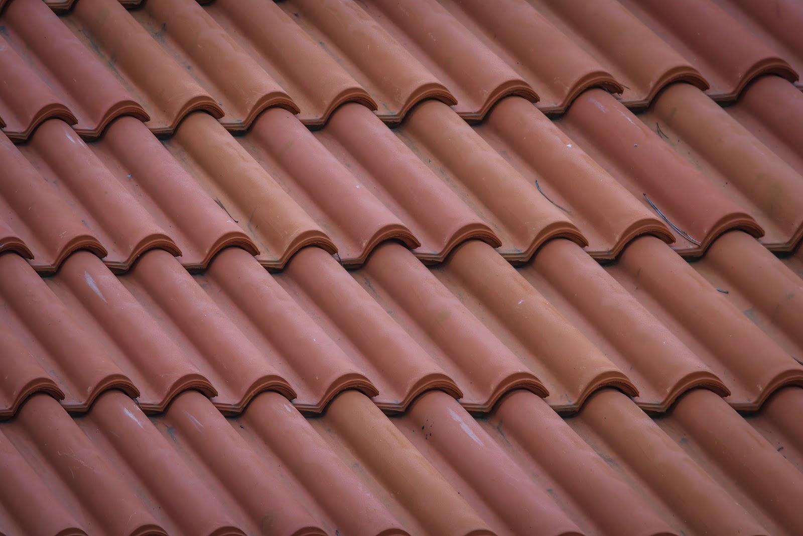 Top 5 Types Of Roof Shingles That Will Transform Your House
