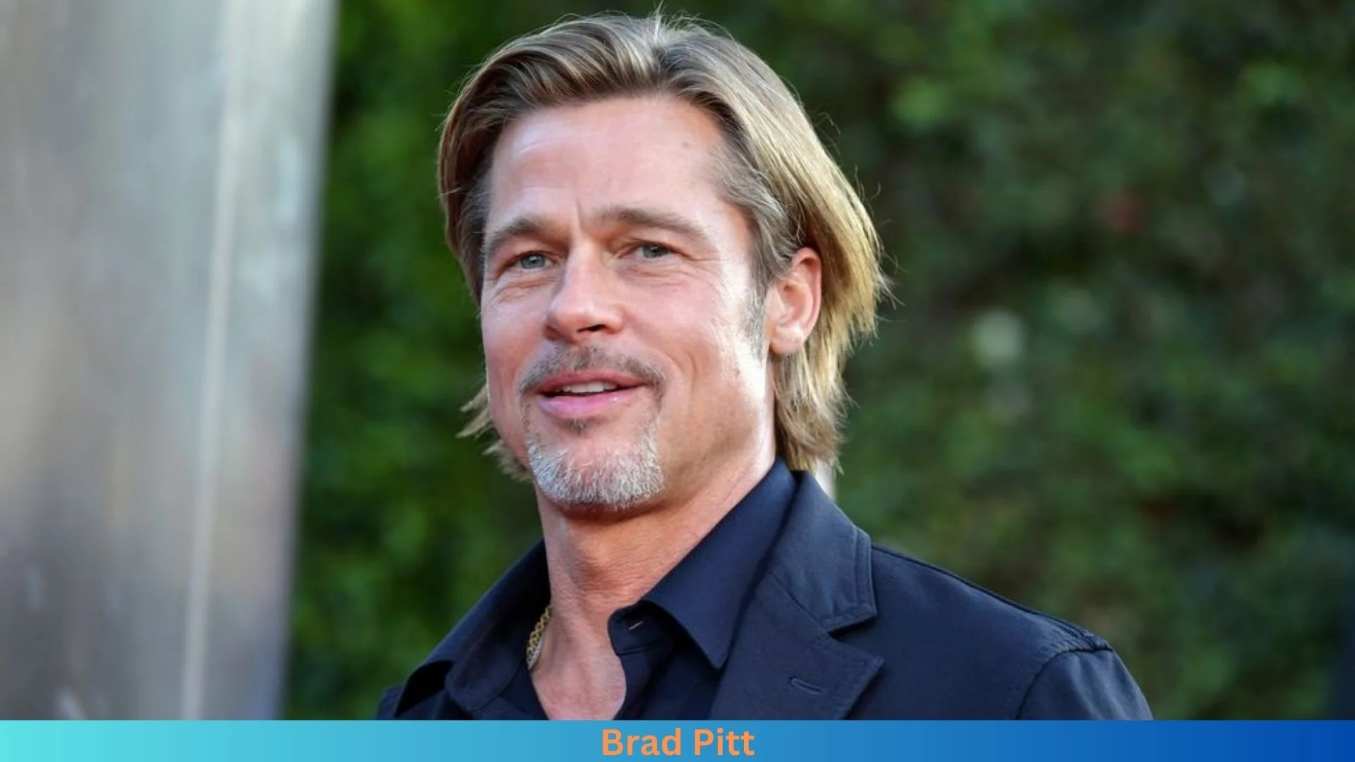 Net Worth of Brad Pitt 2024