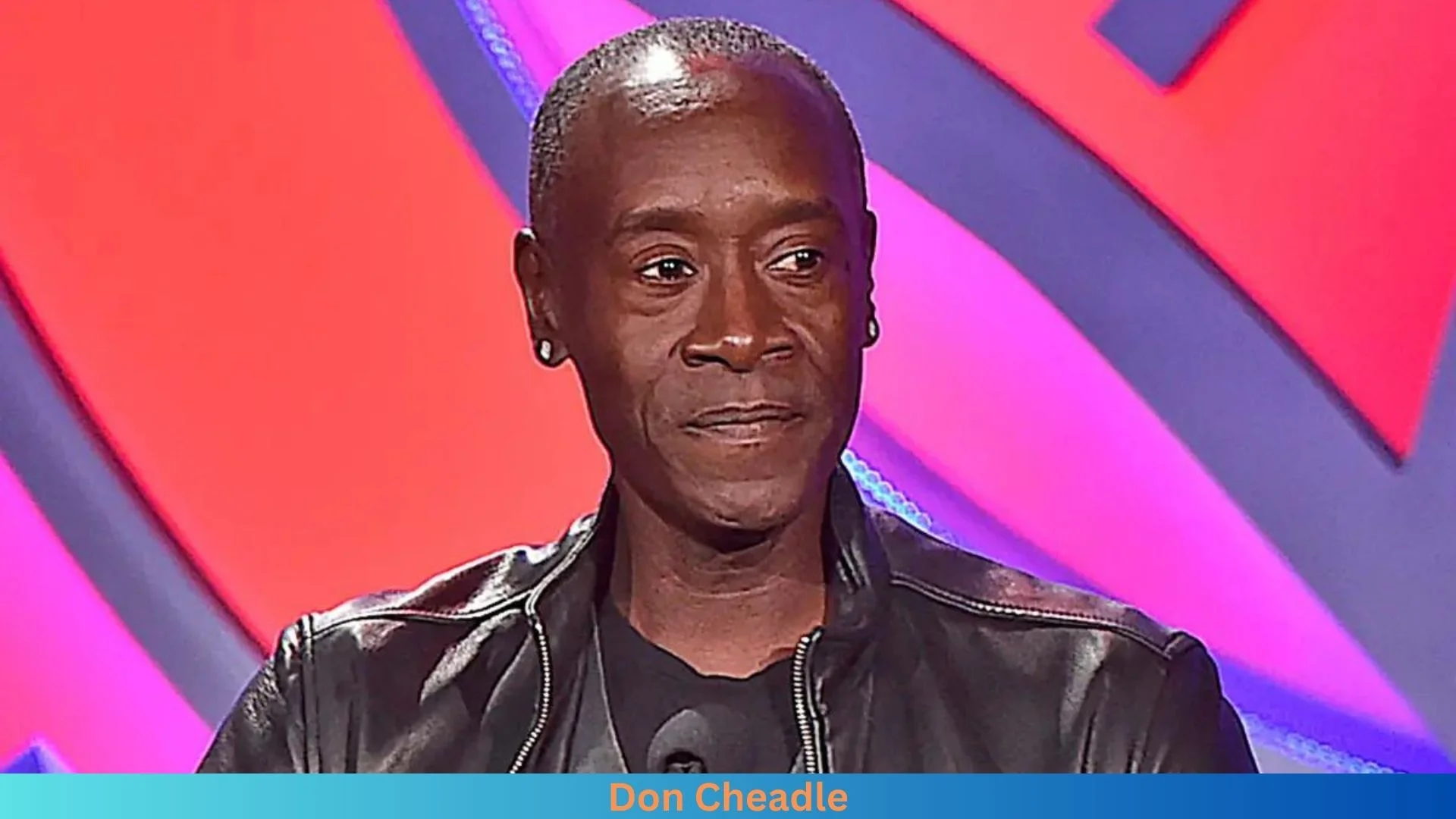 Net Worth of Don Cheadle 2024 Husband Info