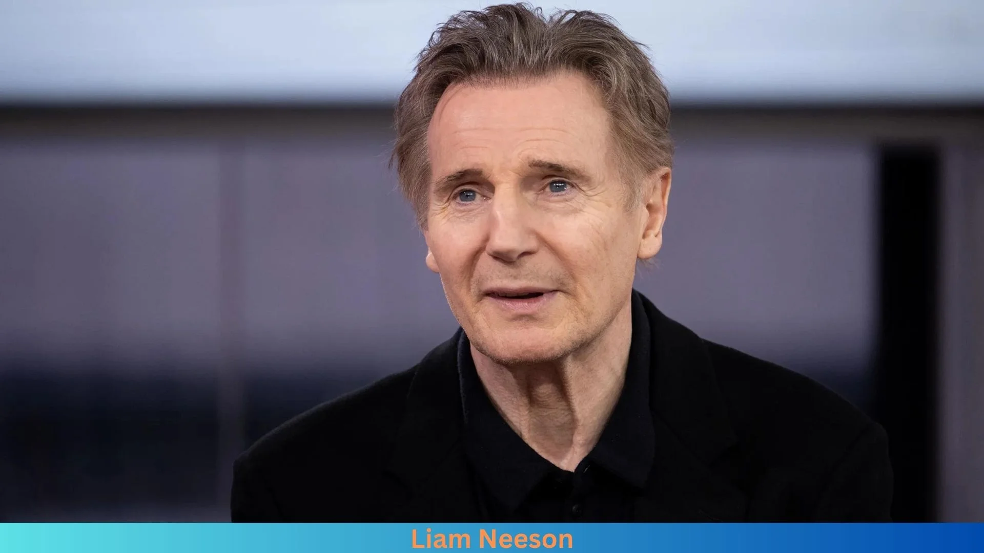 Net Worth of Liam Neeson 2024