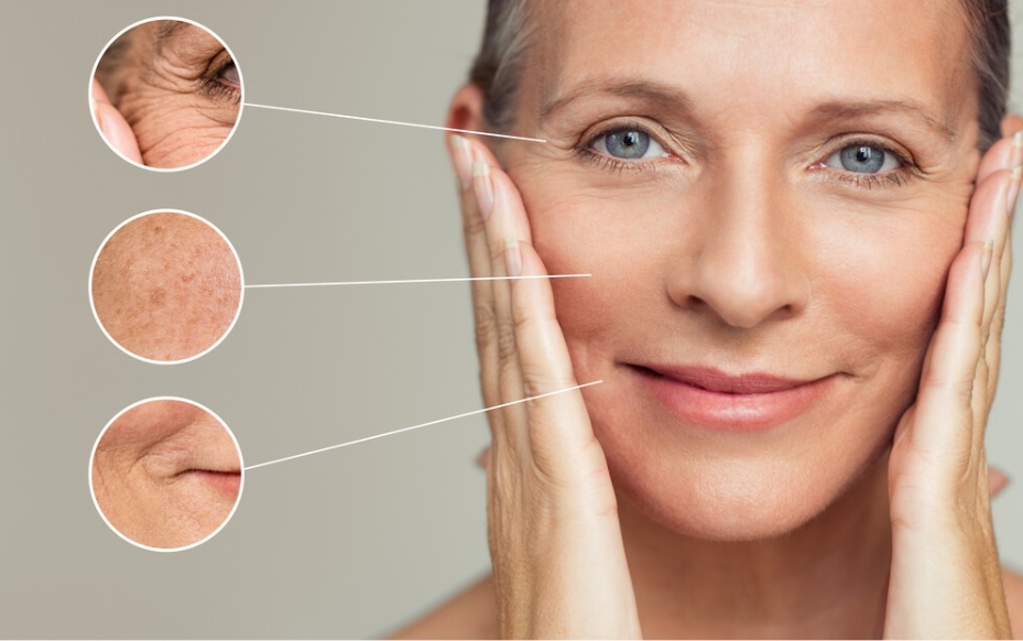 The Science Of Aging: How To Prevent And Reverse Skin Aging