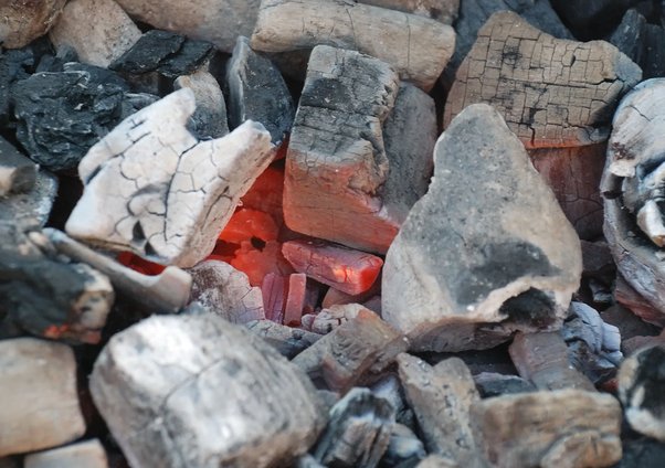 Alsultancoal: Elevating Your Experience Among Charcoal Suppliers in Dubai