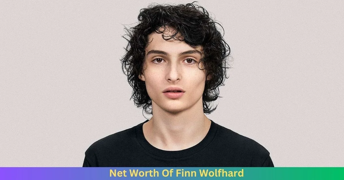 Net Worth Of Finn Wolfhard 2024