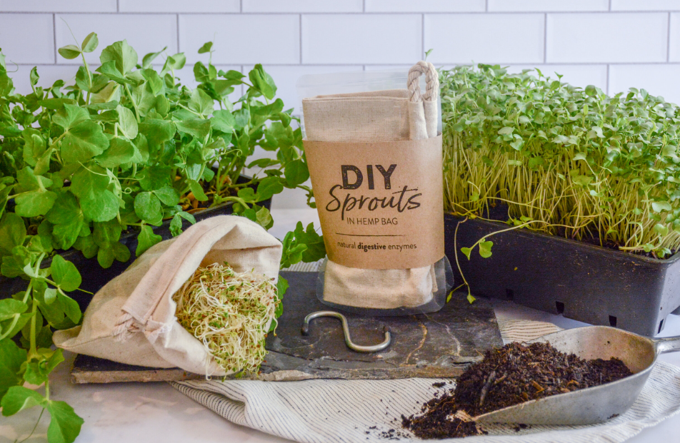 Health with DIY Sprout Grow Kits