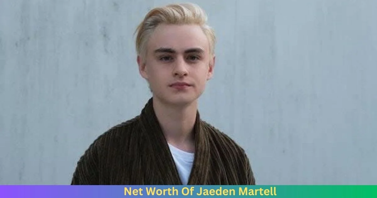 Net Worth Of Jaeden Martell 2024