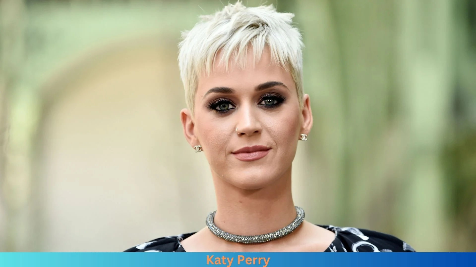 Net Worth of Katy Perry 2024