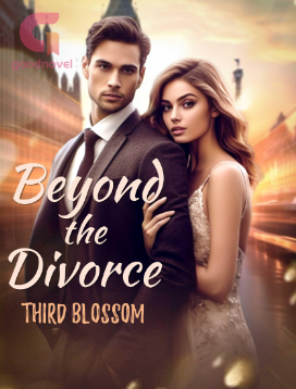 The Novel Beyond The Divorce Story, Views And Chapters