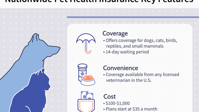 What Does Pet Insurance Cover? – Detailed Guide