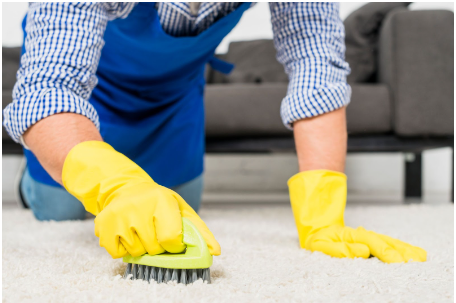 clean carpet – How to Clean Carpet with steam