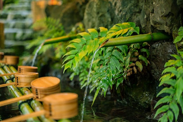 How Can A Bamboo Vinegar Foot Detox Work?