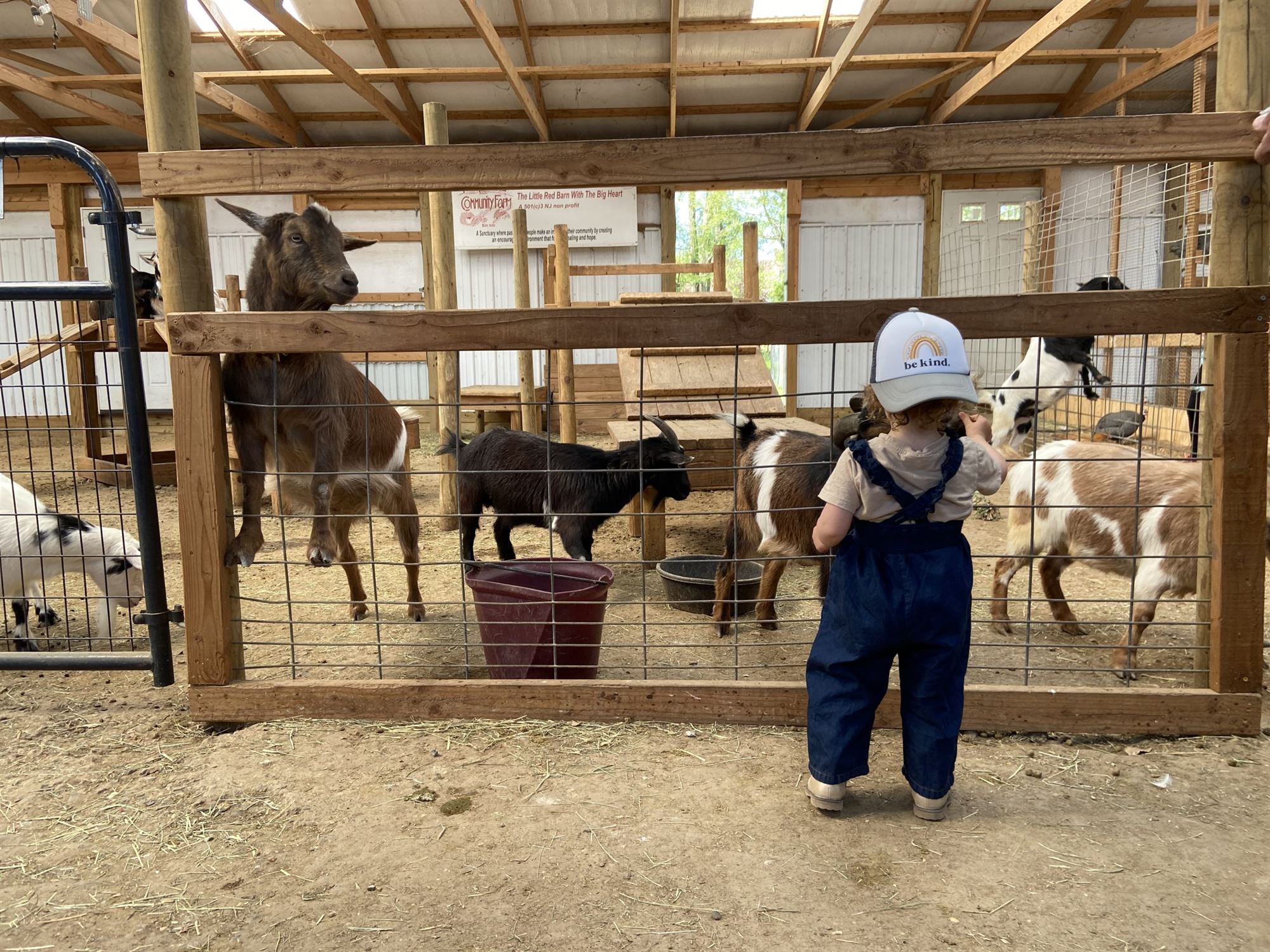 A Journey Through the New Jersey Petting Farm and New Jersey Animal Farm