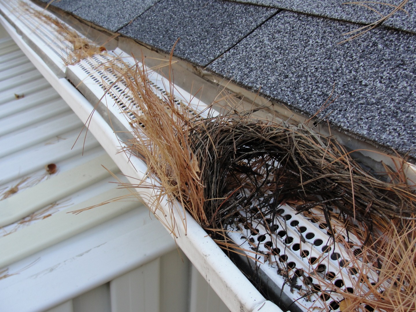 Prepping for Fall: How Long Will Gutter Cleaning Take You?