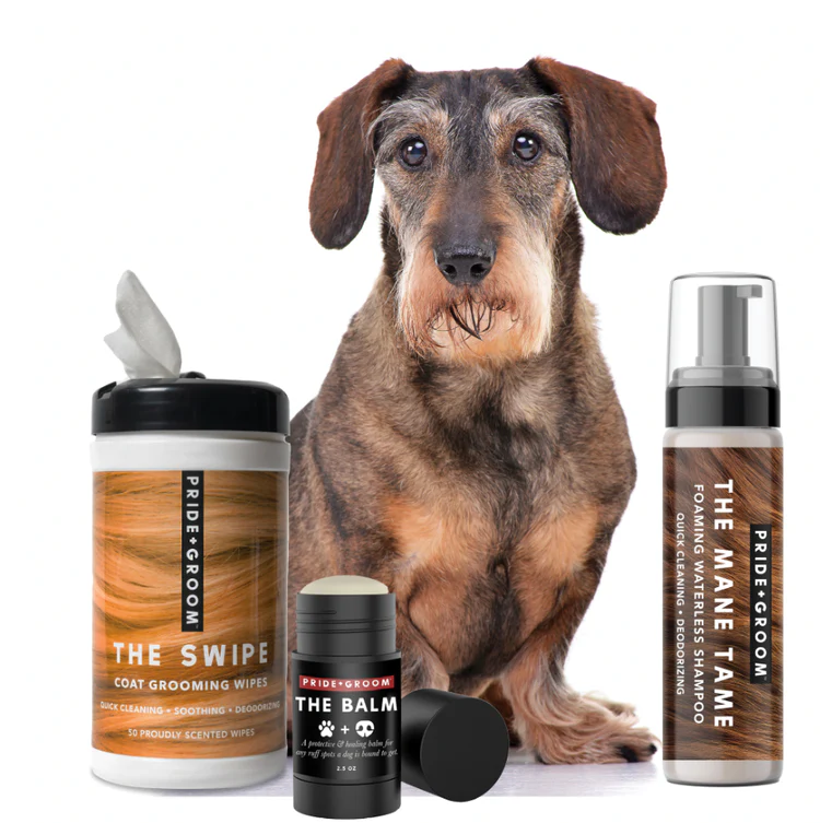 The Ultimate Guide to Dog Grooming Products: Keeping Your Pup Looking Pawsome