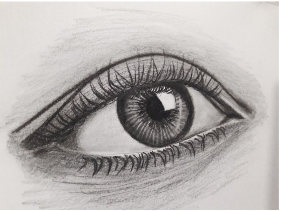 Mastering the art of drawing realistic eyes: A step-by-step guide