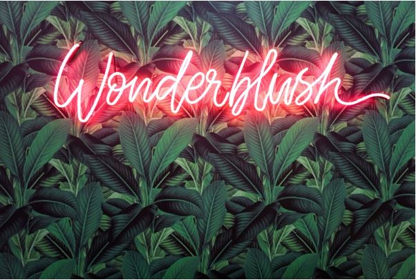 Stunning Valentine Backdrop Ideas for Your Neon Sign Photoshoot In 2024
