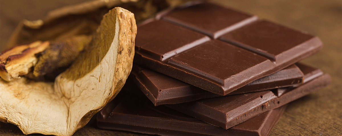 A Deeper Look at The Science Behind Mushroom Chocolate