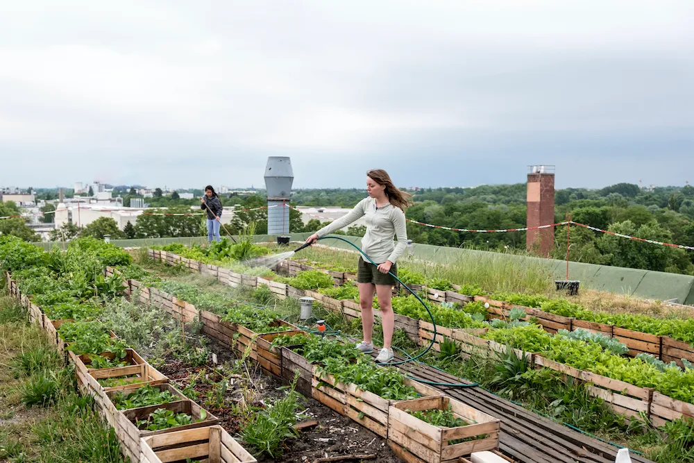 Embracing Urban Green Spaces: An Insider’s Guide to Small-Scale Gardening