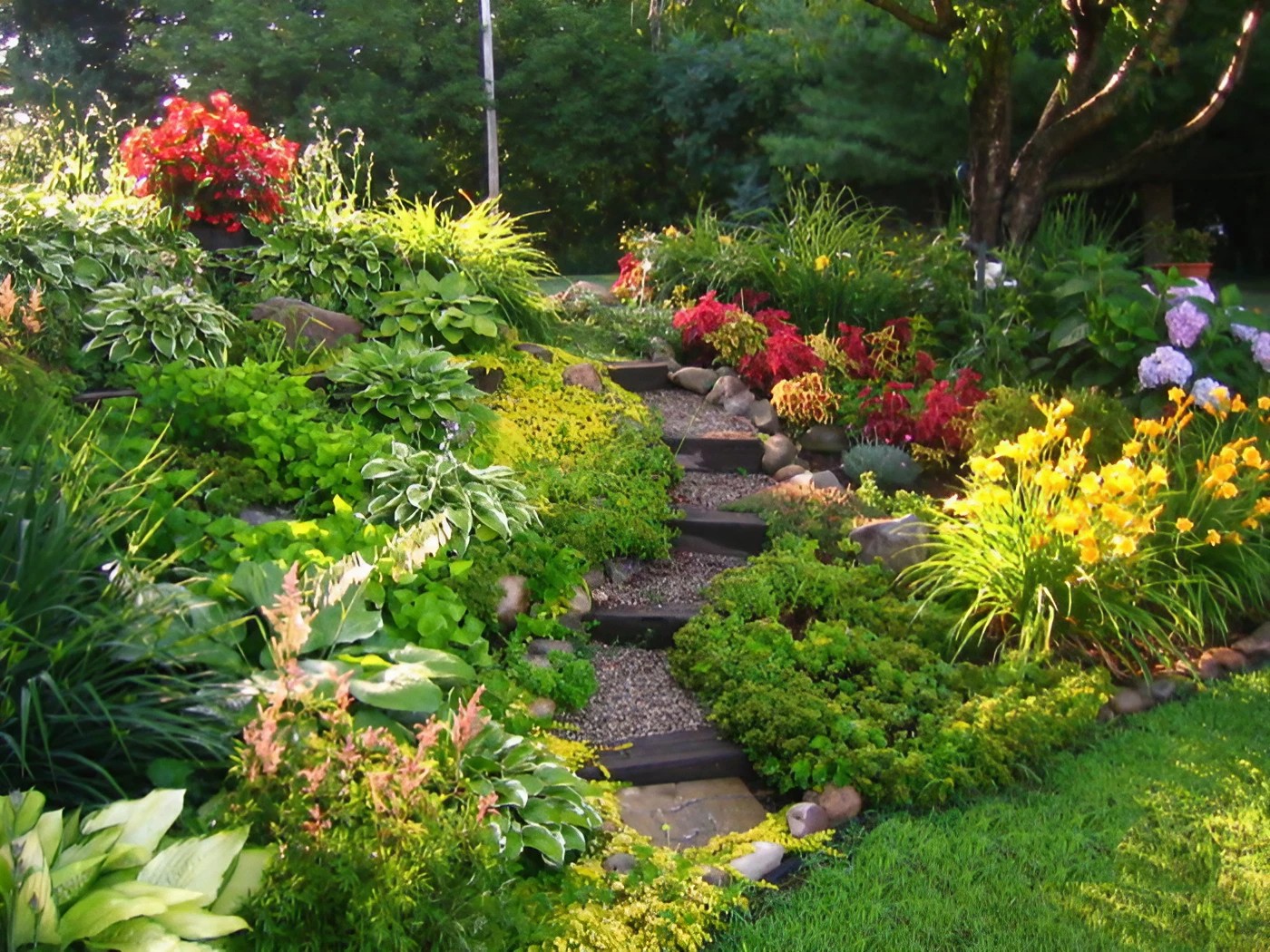 Embracing the Beauty of Native Plants in Your Garden