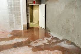Don’t Let Your Basement Leak! Why Waterproofing is Essential