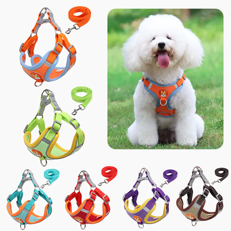 The Ultimate Guide to Choosing the Perfect Dog Leash for Your Furry Friend: Spotlight on NimbleWags’ Premium Pet Products